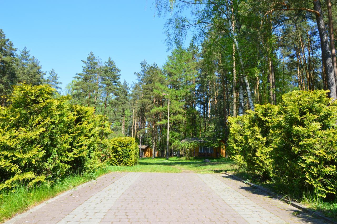 Отель O.W.Bingo Bieszkowice Экстерьер фото